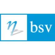 BSV Consultants
