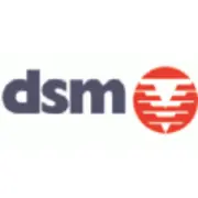 DSM Demolition Group