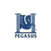 Pegasus New Build Limited