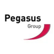 Pegasus Group